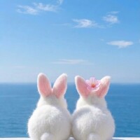 おはようございます☀️