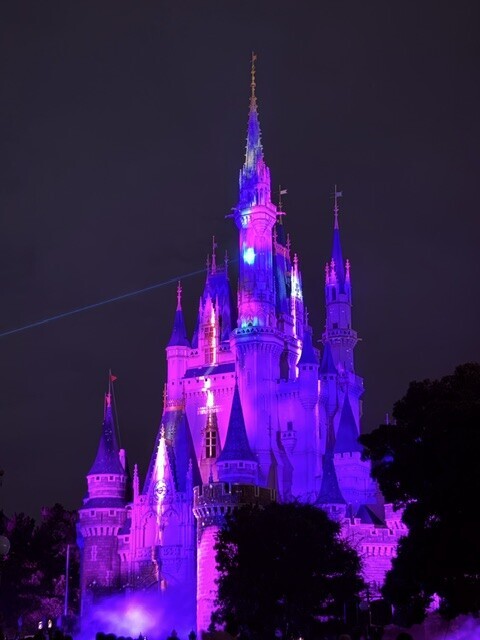 IMG_9519.jpeg