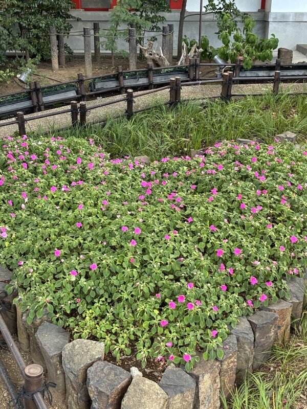 おはようございます🦋