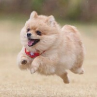 おはようございます☀️