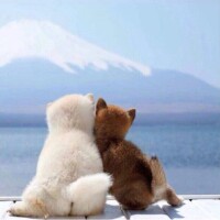 おはようございます☀