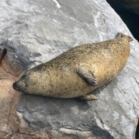 おはようございます