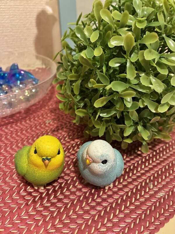 八月のお礼