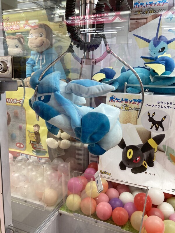 こんばんは