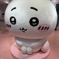 おやすみ