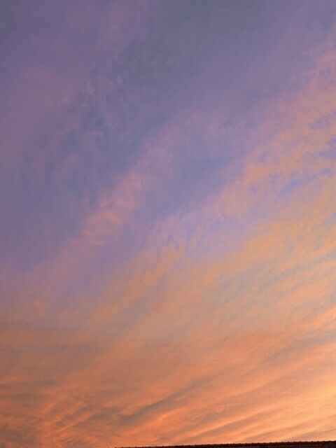 IMG_9837.jpeg