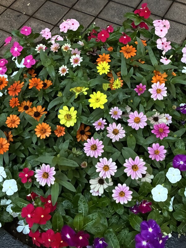 おはようございます💖
