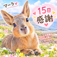 ありがとうございました🫧