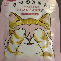 おやすみ😴
