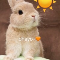 おはようございます☀️