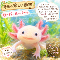 ありがとうございました🌿