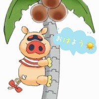 おはようございます