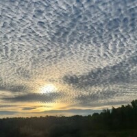 🌾秋空