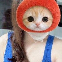 18時からお待ちしております