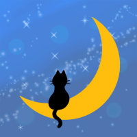 こんばんは🌟