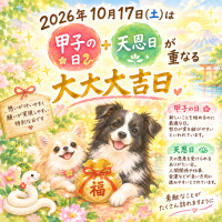 おはようございます🫧