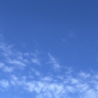 おはようございます🫧