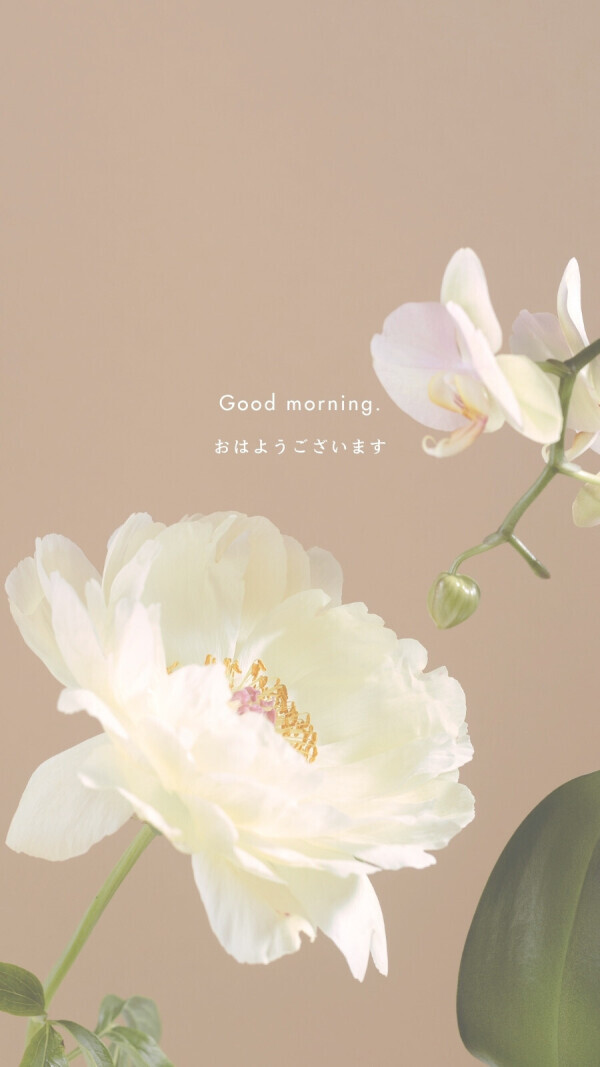 おはようございます！