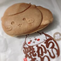 こんばんは
