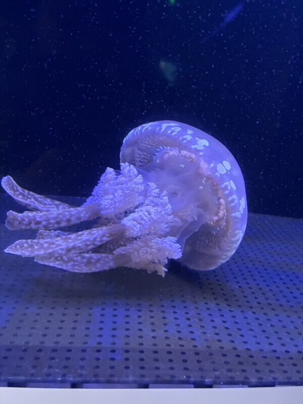 おはようございます😉