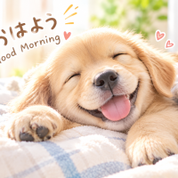 おはようございます☕️