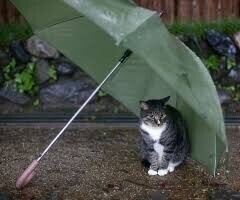 結構降ってます☔️