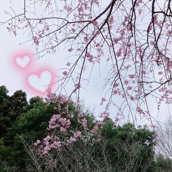 さむい。