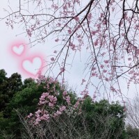 さむい。