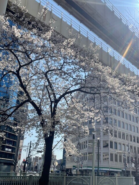 今日の格言