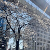 今日の格言