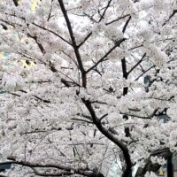 こんにちは✨