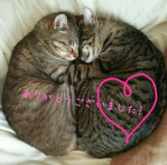 ありがとうございました！(*´˘`*)♡