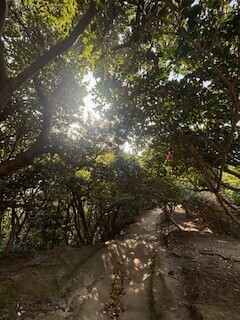 おはようございます✨