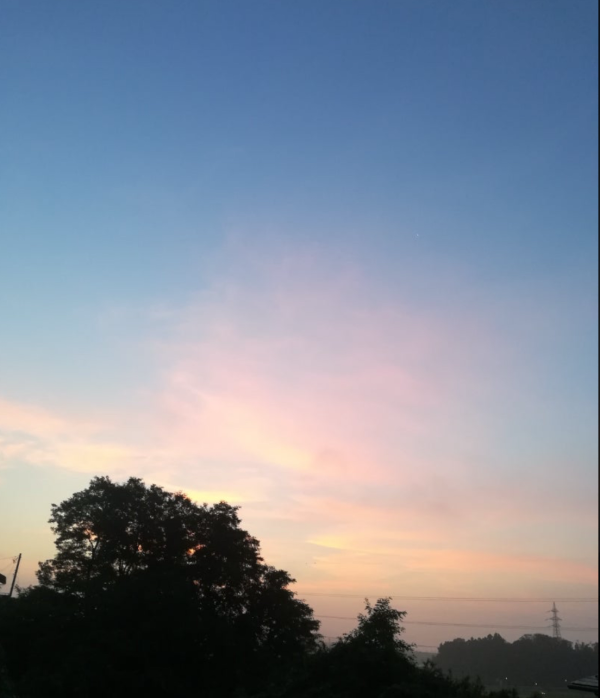 あさんぽ👣