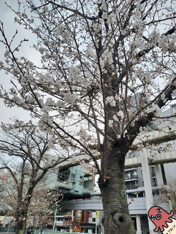 おやすみなさい！