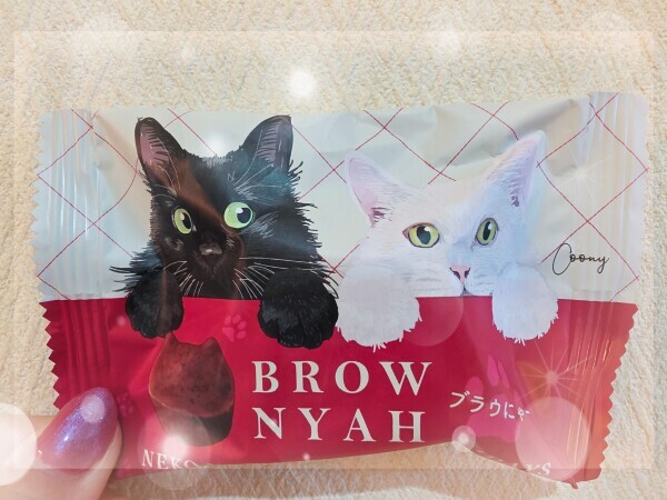 ブラウにゃー🐱