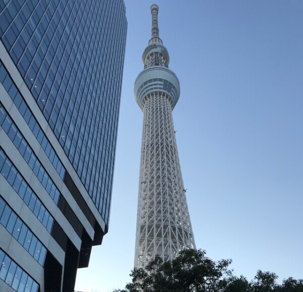 高所恐怖症