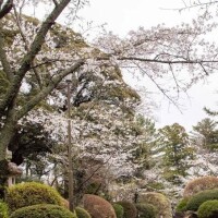またまたどんより。。(p_q*)ｼｸｼｸ