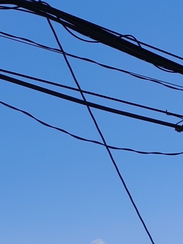 良いお天気🌞