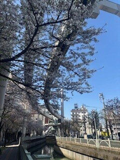 千葉参上🥰