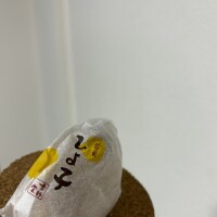朝だぴよ🐥