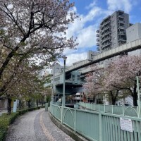 今日の格言