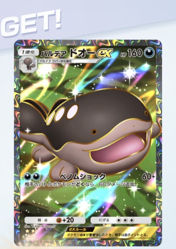 今日の格言