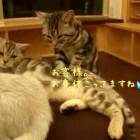 お疲れの方。。