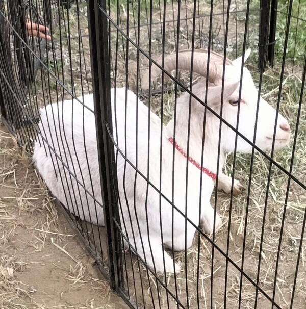 昨日もありがとうございます🫶
