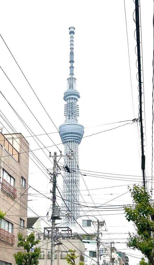 近くにツリー🌲