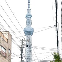 近くにツリー🌲