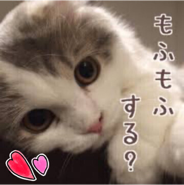 お身体、楽になりたい方🌸