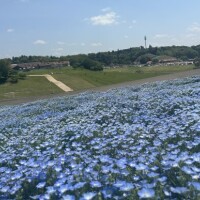 店長やよこ