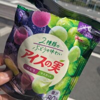 気持ちのいいお天気ですね🌞